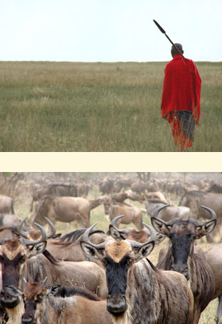 kenya-sde
